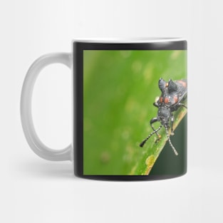 Unique and organic photo of a fungus beetle with a mite on its back Mug